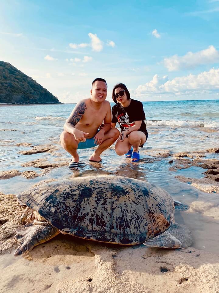 Rùa biển khổng lồ Côn Đảo